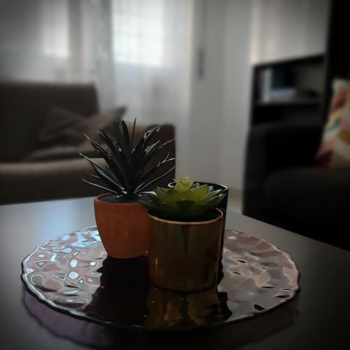 Apartmán Casa Publicola Řím Exteriér fotografie